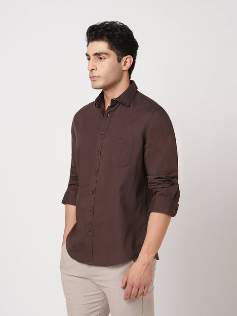 BROWN TAILORED FIT COTTON SHIRT-Shirt - 260134395