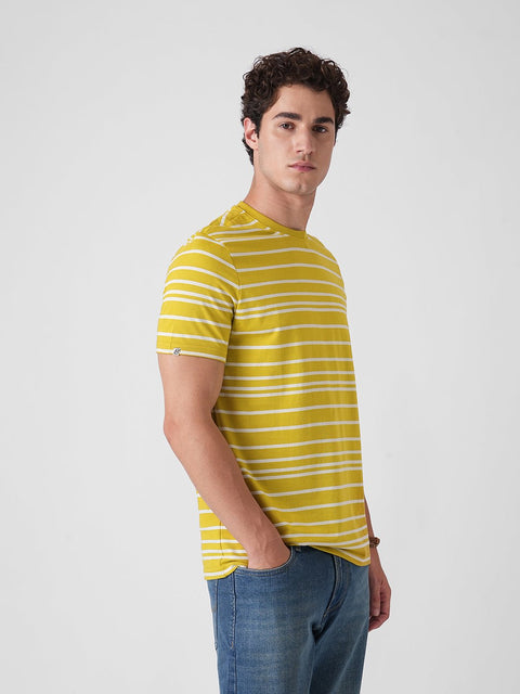 YELLOW STRIPE ROUND NECK SINGLE JERSEY T - SHIRT - T Shirt - 250730510